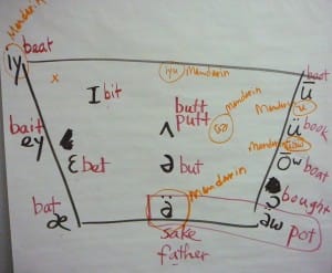 Mandarin and Am Engl vowel comparison
